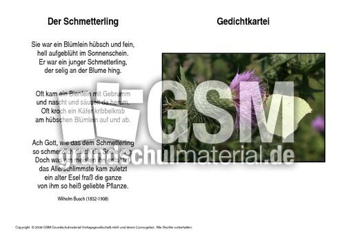 Der-Schmetterling-Busch.pdf